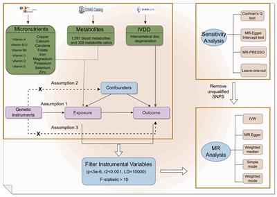 The role of micronutrients and serum metabolites in intervertebral disk degeneration: insights from a Mendelian randomization study and mediation analysis